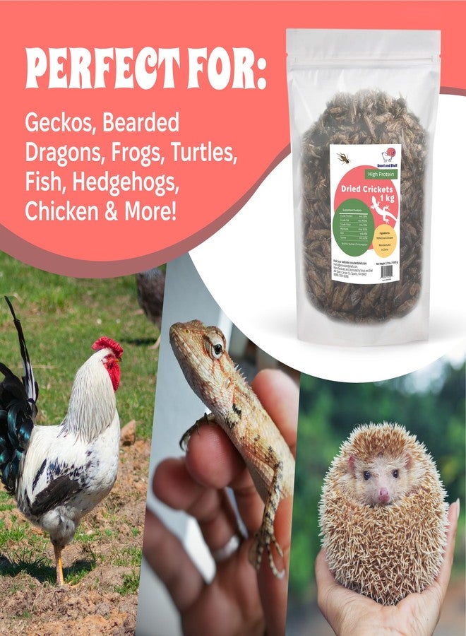 Snout and Shell Dried Crickets (2.2 lbs) for Reptiles, Birds, and Small Pets - Natural Insect Food with Essential Nutrients - 1 kg - Image 5